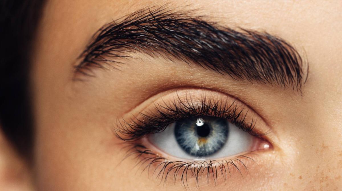 VitaOptica's tweet photo. Con la edad, el cristalino del ojo se hace más rígido, perdiendo su capacidad para enfocar objetos. No te pierdas este post de @elpais_tec donde nos cuentan que desarrollan una lente capaz de imitar el cristalino para corregir la vista cansada.
https://t.co/DB9PLQYgbe #cristalino https://t.co/QHsyxSugaT