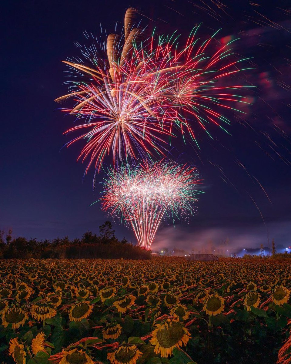 WEWS's tweet photo. We're slightly obsessed with this photo of Maria's Field of Hope captured over the weekend. How stunning is this?! (IG Photo: Nick Hoeller) https://t.co/bK1CUias78