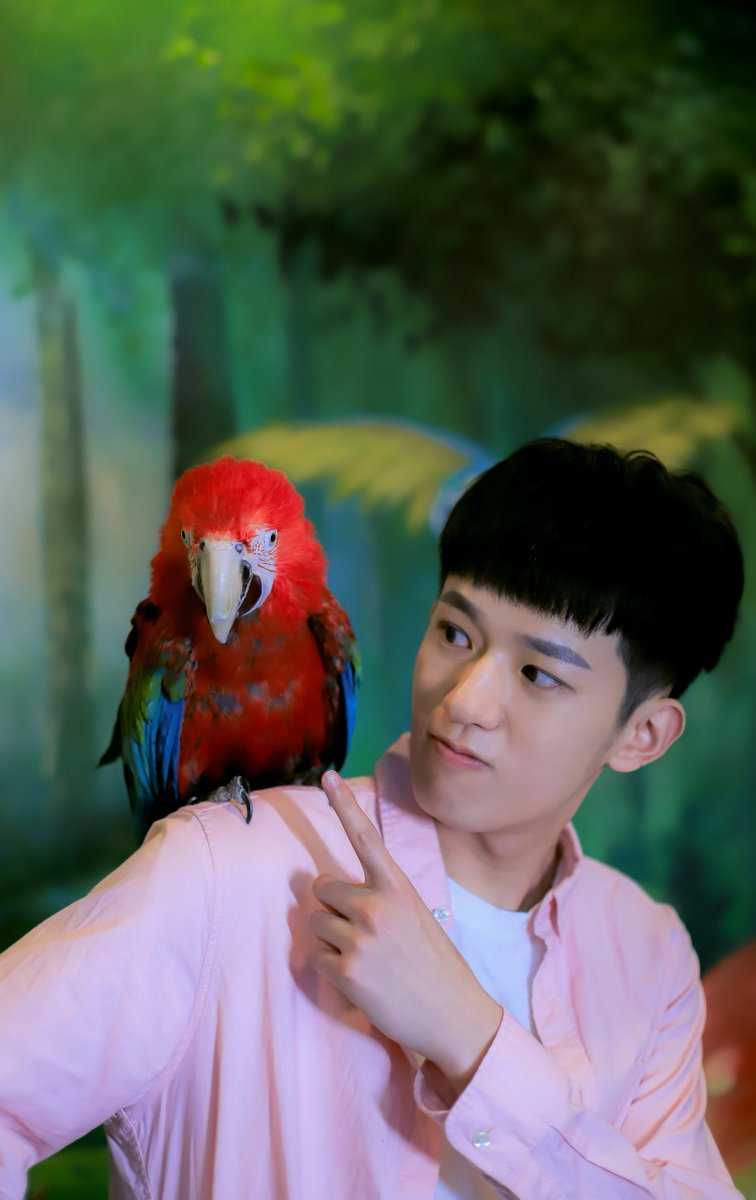 GZTV_FCWM's tweet photo. 嗯嗯，你看~ #非常完美 # #班宇浩 # https://t.co/ecbD5ocI80