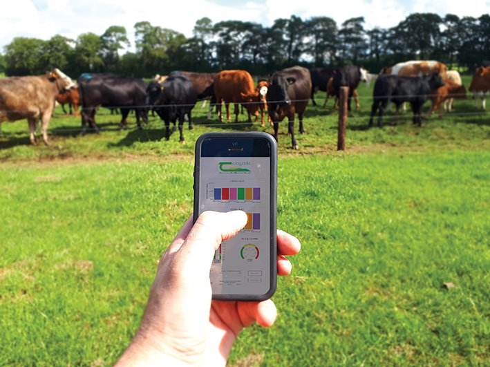 teagasc's tweet photo. Technology driven by science, read about the Grange Reproductive Management Model support tool developed by TEAGASC to aid in reproductive management of suckler herds. Only in the latest edition of TResearch
Autumn 2019: https://t.co/IKR5F5r7Ic https://t.co/oqbUsvDDVN