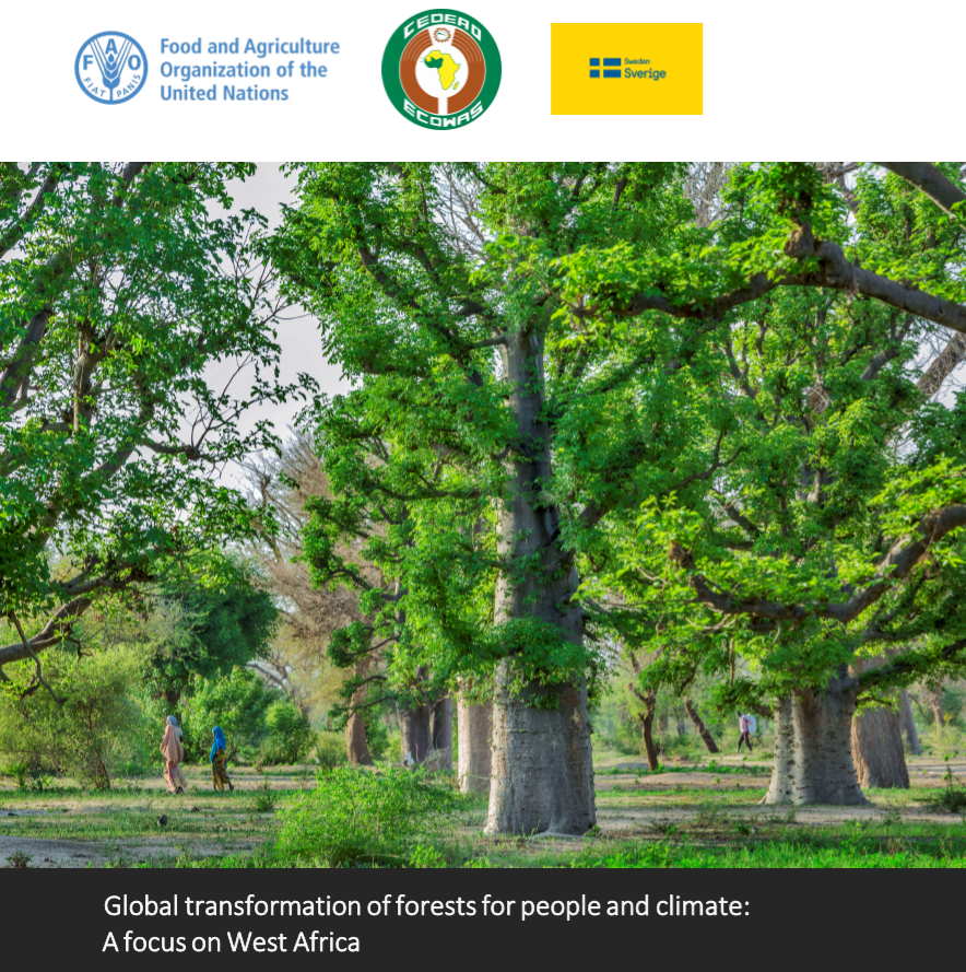 FAOWestAfrica's tweet photo. 📢Avis aux #Medias

#Dakar accueille le 25/9/2019 la réunion du comité de pilotage du projet « Transformation mondiale des #forêts 🌳pour les peuples et le #climat: Un focus sur l'#Afrique de l'Ouest🌍» pour évaluer les progrès accomplis jusqu'à présent. https://t.co/382djnZBQU https://t.co/kFXRB63EbE