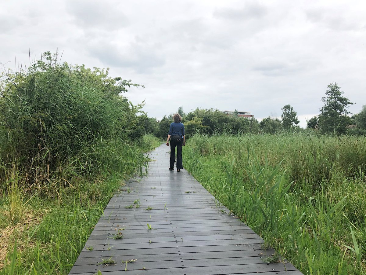 Zin in een mooie (en natte?) wandeling in en rond Pijnacker? WEP heeft zaterdag 28 september 2 routes (15 of 25 km) in de aanbieding. #frissenajaarstocht2019 Meer info via: weppijnacker.nl/frisse-najaars…