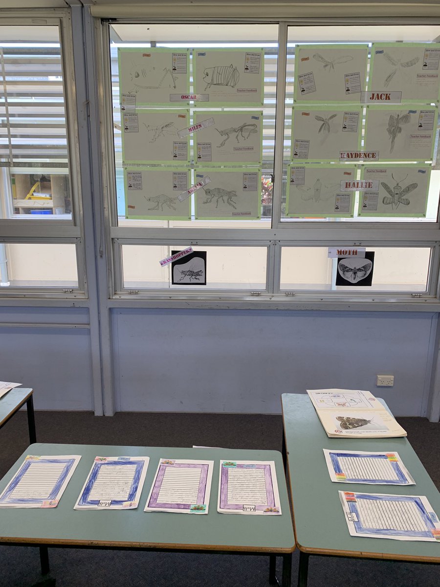 My favourite part of being a teacher is listening to my students talk about their learning in their Yr2 project. #leadersoftheirownlearning #BPPS_PL Great teacher support <a href="/Jacintas123/">Jacinta Smith</a> <a href="/Trish_Stewart28/">Swee</a> and <a href="/NicCrawford17/">Nicole Crawford</a> What a great event!
@PDTaylor73