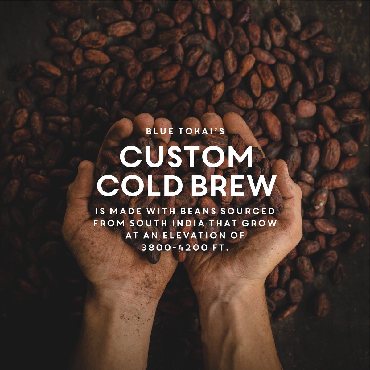 bira91's tweet photo. All about our #CoolBrew 🍺
@BlueTokaiCoffee
.
.
.
.
#LimitedRelease #Bira91MalabarStout #Coffee #Bira91Beers #Bira91 https://t.co/P0miW2iUYA