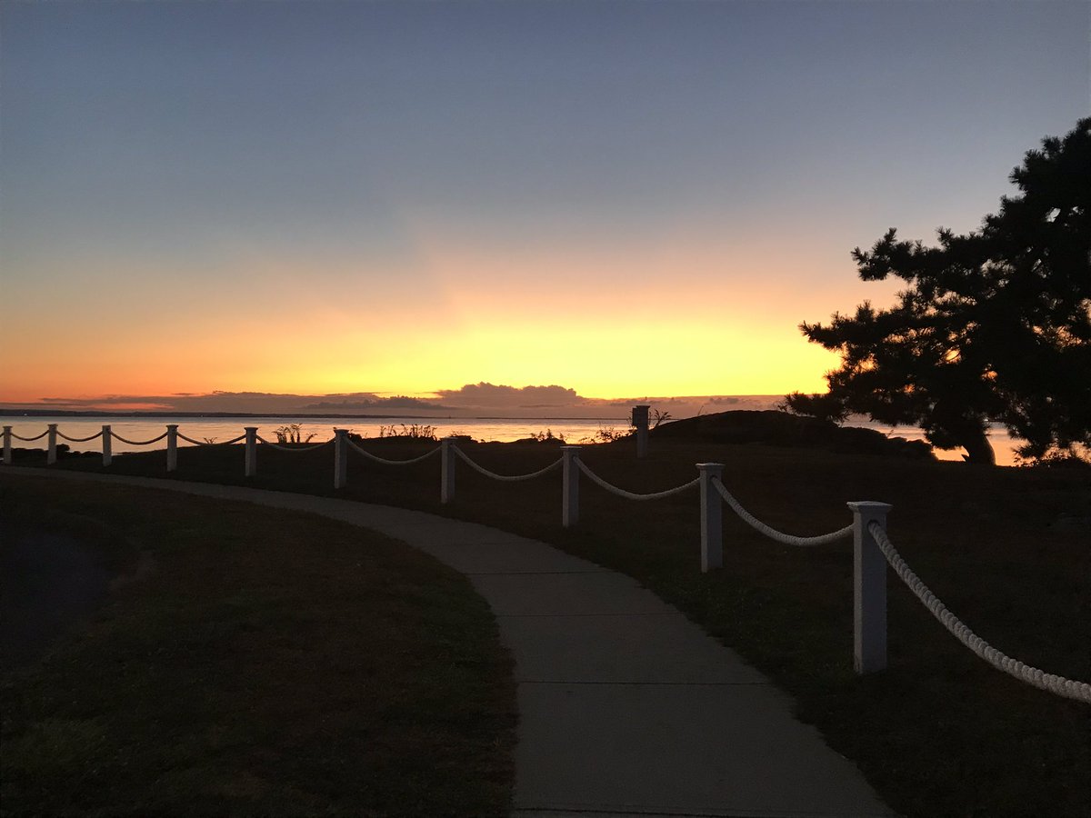 Walks with Buddy tweet media