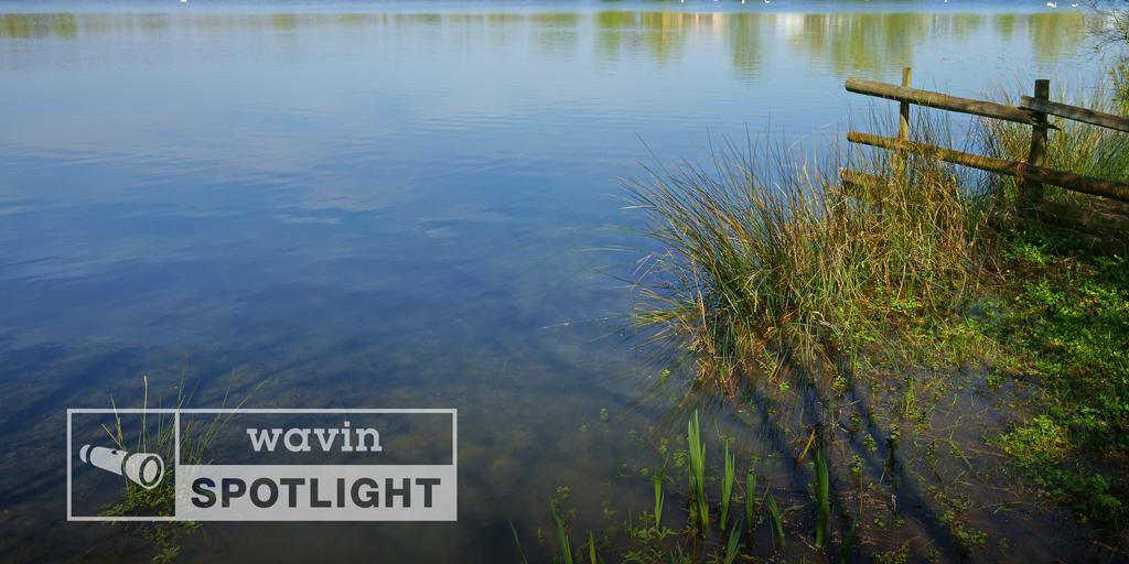 WavinUK's tweet photo. How sustainable drainage systems can help to improve water quality. #SuDS #waterquality #stormwatermanagement Read our latest Spotlight post here https://t.co/UFnapusepW https://t.co/WV05LyX18O