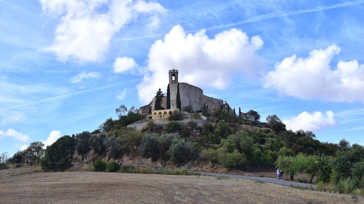 Som Segarra tweet media