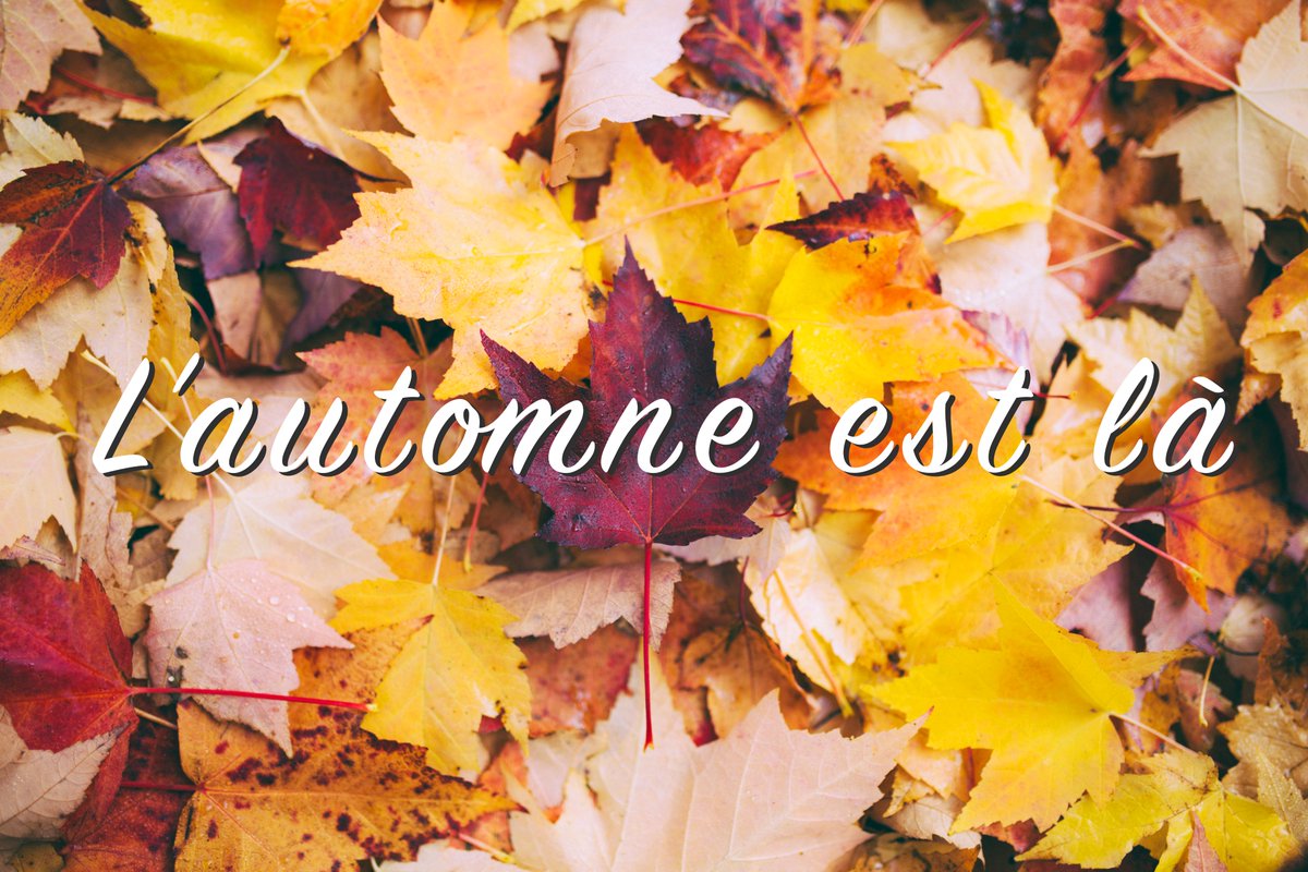 L'automne est arrivé ! 🍁

C'est la fin de l'été ! Ne vous en faites pas la Halte 24-7 sera aussi animées que les mois précédent si ce n'est même plus, 

Restez connectés! 😉

#fall #work #events #coworking