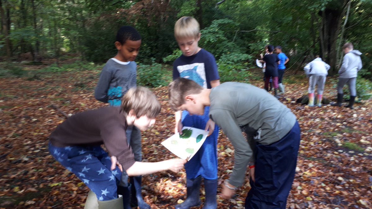 hogarth_the's tweet photo. Woodland walk #Chiswick #W4 #Hounslow #treespotting #findyourtree https://t.co/fi0XR61Lzf