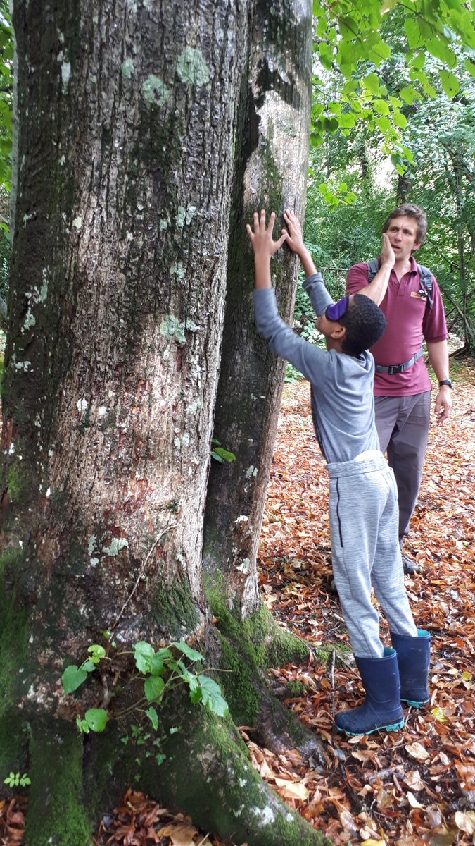 hogarth_the's tweet photo. Woodland walk #Chiswick #W4 #Hounslow #treespotting #findyourtree https://t.co/fi0XR61Lzf