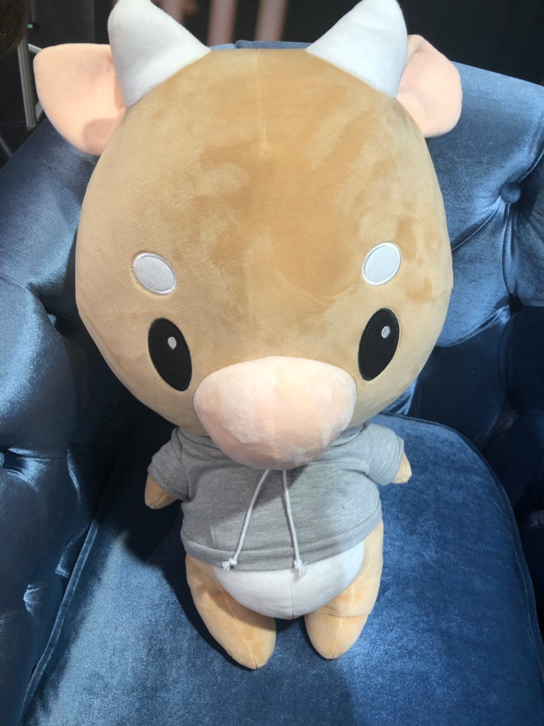 パク・ソジュン 韓国ドラマ キム秘書はいったいなぜ ぬいぐるみ