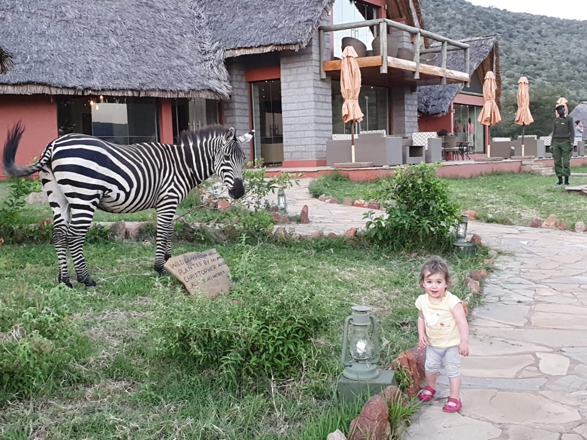 Our resident Zebra welcomes guests of all ages!