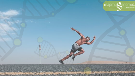 mapmygenome's tweet photo. Even though our genes cannot tell everything about us, they can surely guide us in a systematic way as we pursue better health & improved athletic performance.
Know More : https://t.co/krsZzjA64T
#Athlete #Sports #Weightlifting #Powerlifting #GetFitWithMyFitGene #Fitness #GYM https://t.co/ibzS28uQAF