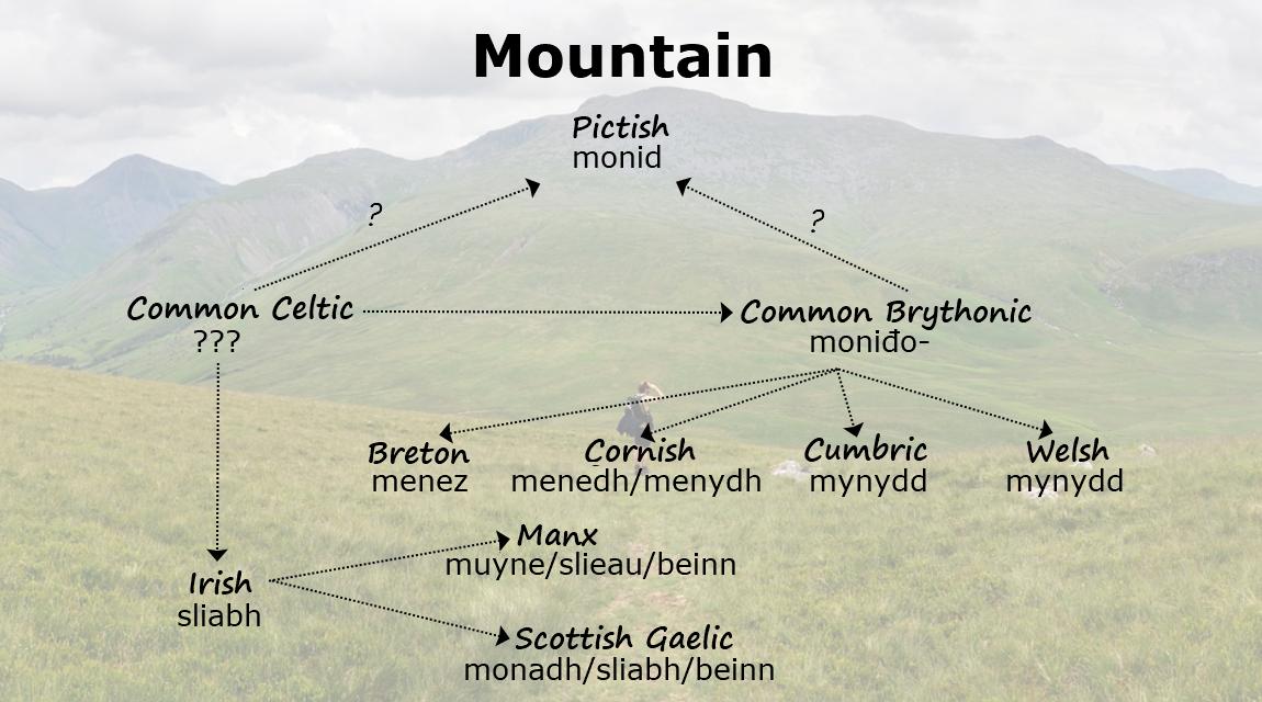 ▪️ Eng: Mountain --- ▪️ C. Brythonic: moniđo- ▪️ C. Celtic:❓ --- ▪️ Cumb.: mynydd ▪️ Pict.: monid --- ▪️ Bre: menez ▪️ Cor: menedh/menydh ▪️ Gla: monadh/sliabh/beinn ▪️ Gle: sliabh ▪️ Glv: muyne/slieau/beinn ▪️ Wel: mynydd Reference lists available at Cumbric.org