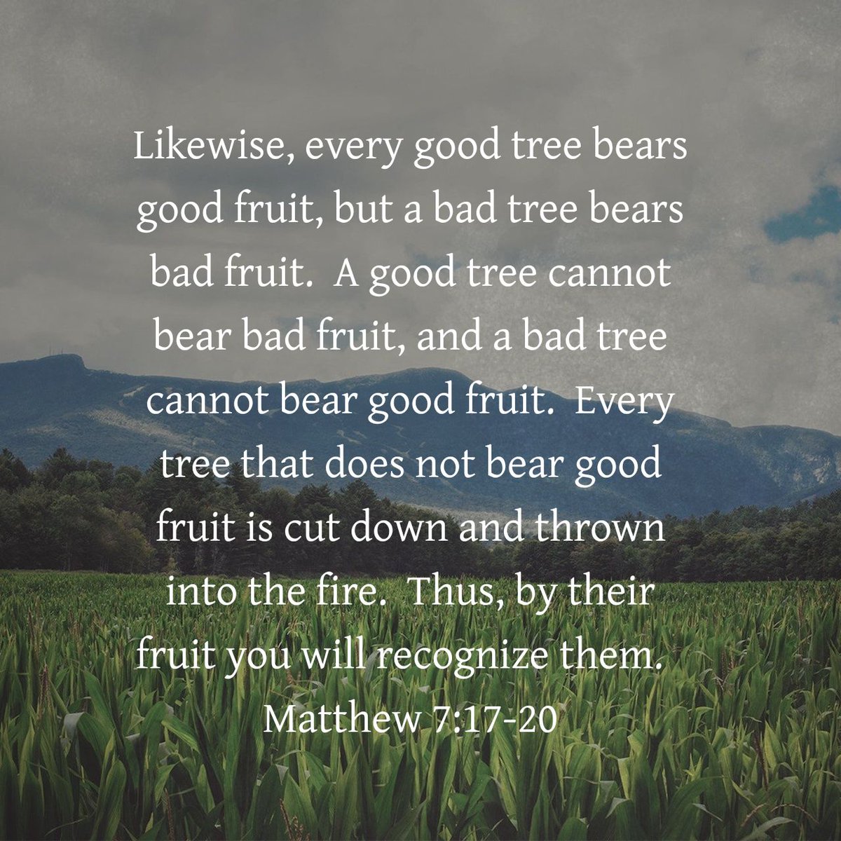 Buen verso de la biblia del árbol frutal