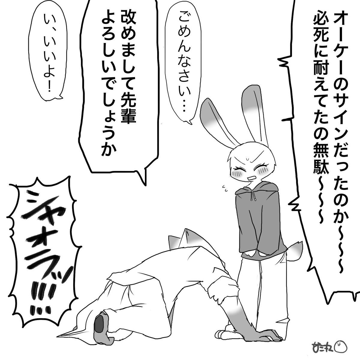 必死過ぎるきつね 