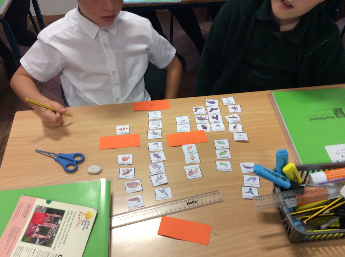 This morning, Year 4 were scientists! 
We were classifying animals according to what we know about them 🐶🐱🐰🐼🐸🦁🐒🐧🦓🐞🕷️🐢🐋

<a href="/DSATScience/">DSAT Science</a>