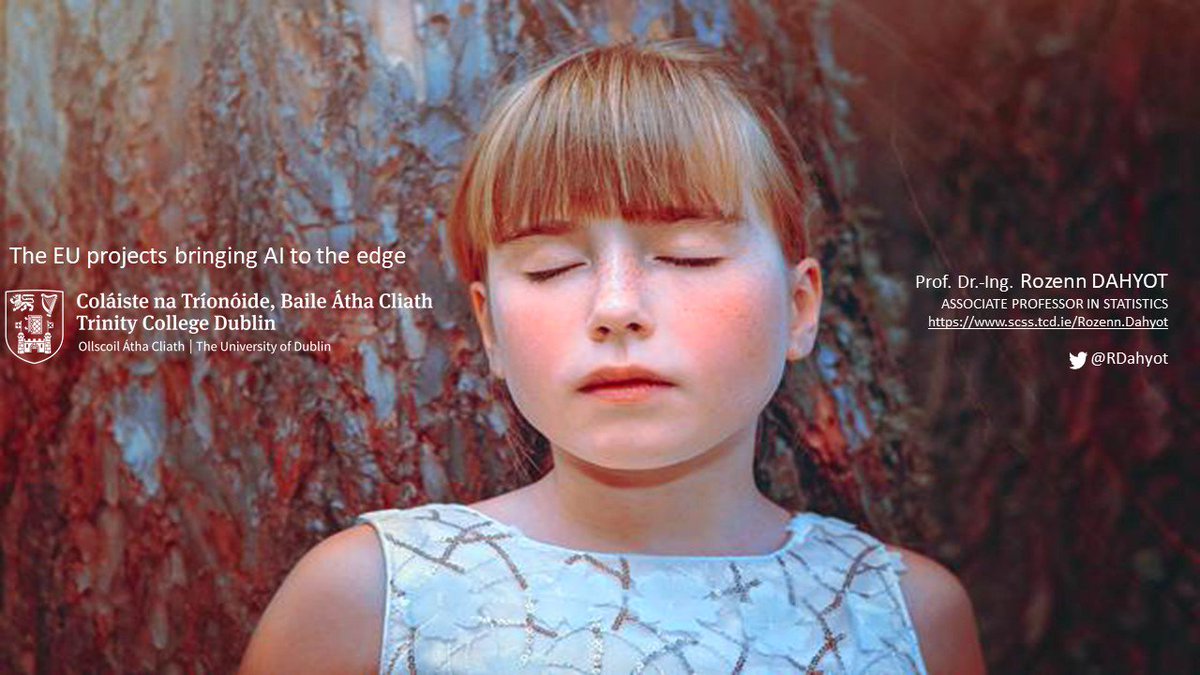 Rozenn Dahyot tweet media