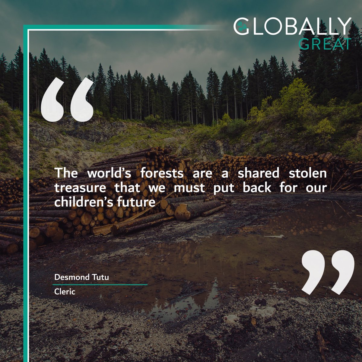 GloballyGreat's tweet photo. To safeguard the future of the planet we must act and start reforestation activities all around the world.
This week is all about SDG#15, Life On Land.
@TheDesmondTutu @UNEnvironment
#deforestation #reforestation #forests #SafeTheForest #SDG15 https://t.co/aYIG5tujP0