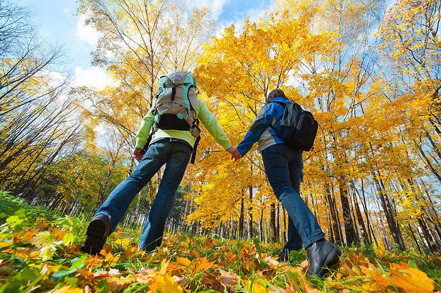 UExStudyAbroad's tweet photo. Llega el otoño 🍂 y nuestros campus y la región se llenan de bonitas tonalidades marrones.
¡Ven a DESCUBRIR la #UEx y Extremadura con nosotros.
https://t.co/QQcSJMcwqQ https://t.co/zMHawtMssd