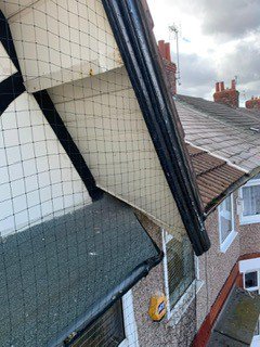PestHygiene's tweet photo. This was a job to install pigeon netting over bay window on a domestic house.
The customer was being woken up early hours by the pigeons along with the bad smell and mess they where causing!
We are bird control specialists online ➡️ https://t.co/2d4WJxJrZ1
#Merseybizlink https://t.co/dKm6dYElcy