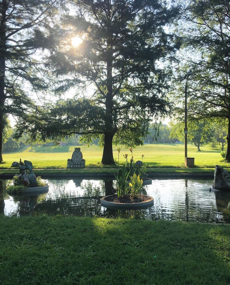 Beautiful morning in Francis Park #lilypond #stlouishills