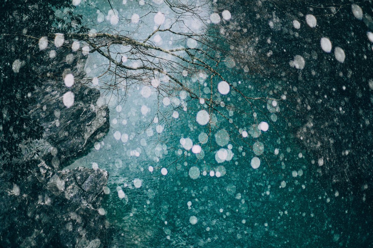 1000枚撮ったら1枚くらいは大がつくほど好きな写真に出会えるのでたくさん撮るといいと思う