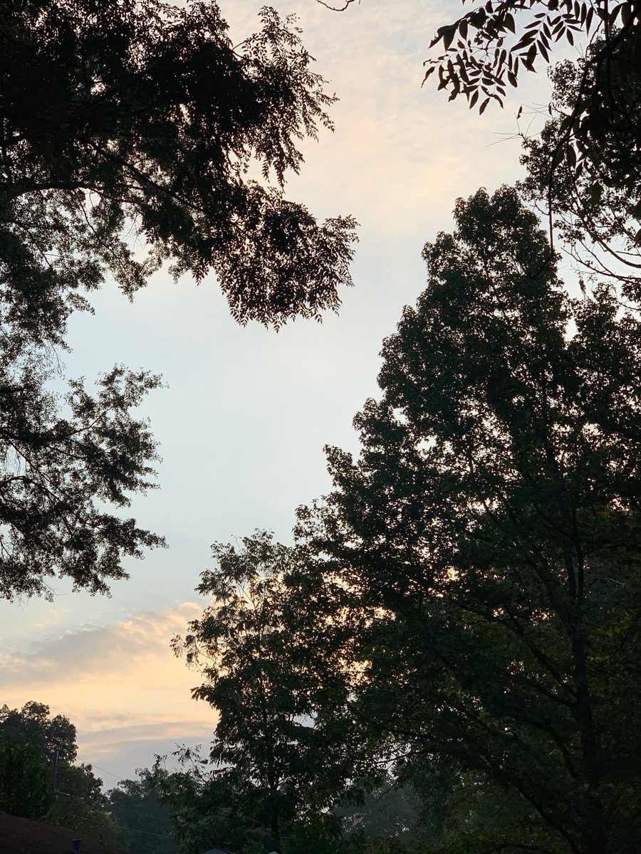 sokamoto's tweet photo. Good morning, Columbus! #ColumbusGA #mydailyphoto #09/24/2019 #2019project #upearlyagain #slightlycloudy #whereisthesun? #verycool&dry #tiniestofbreezes #ohsonice #cicadasfading #birdschirping #neighborsdogssilent #distanttrainrunning https://t.co/RbmDX69Cl6