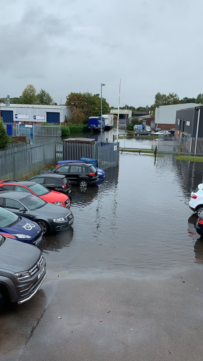 Great weather for ducks....🦆🌧