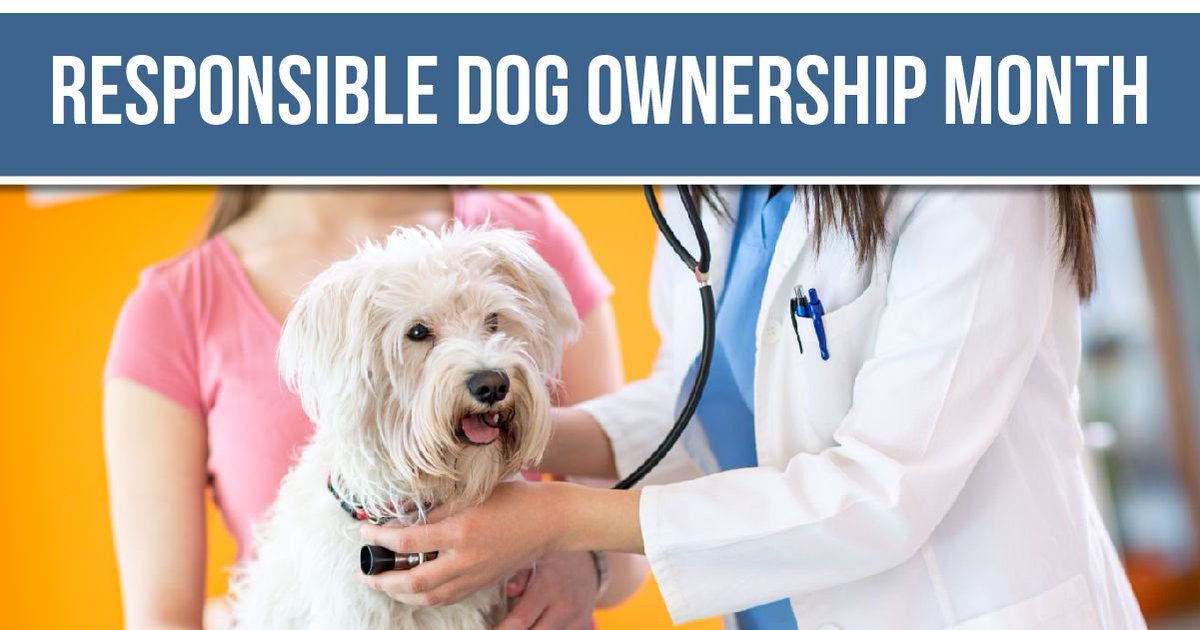 CARESvet's tweet image. Choosing to welcome a new best friend into your life is no small thing. Be sure to consult your current (or future) vet about making your dog the healthiest and happiest they can be in your home. #ResponsibleDogOwnershipMonth