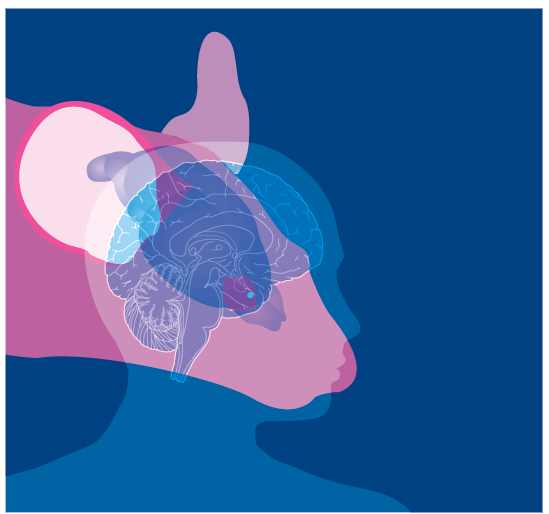 NatRevNeurosci's tweet photo. Transcriptomic analysis of cells in layers of human cortex reveal surprising homology with existing mouse transcriptomic data โ but also important differences #ResearchHiglight https://t.co/EsCjKgNjJa https://t.co/CT8EaUgTpy