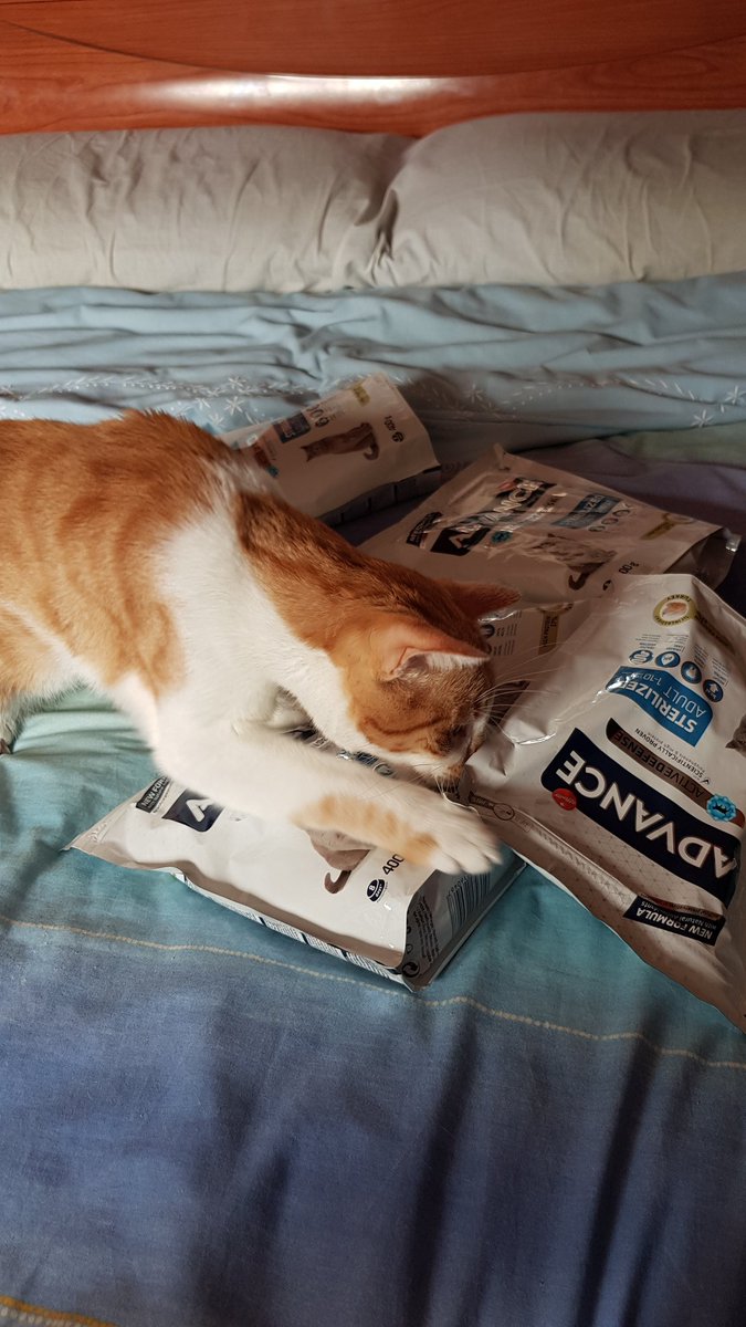 Link no puede esperar a abrirlo #AdvanceSterilized <a href="/trnd_es/">trnd España</a>