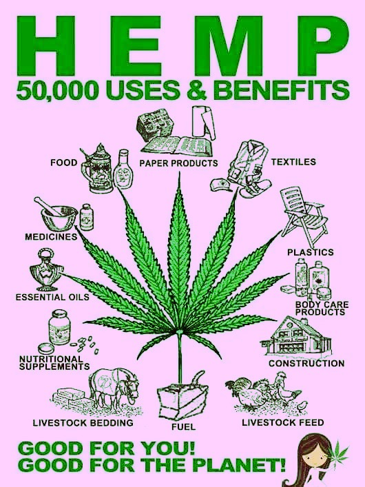 cannaworldsite's tweet image. Remember those 50,000 different products?
greed is a bitch