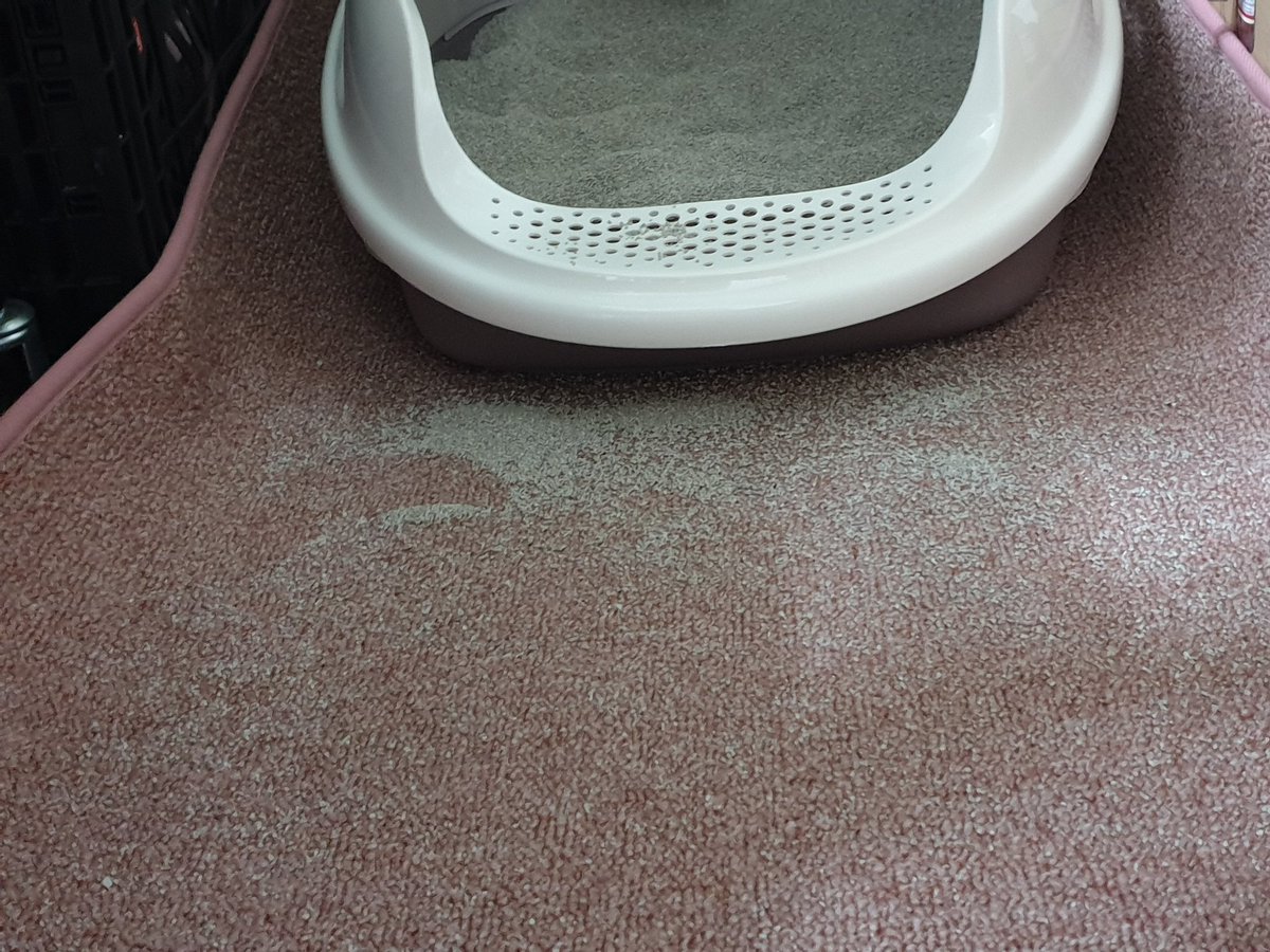 대체 전체갈이 해주자마자 뭐하는거야