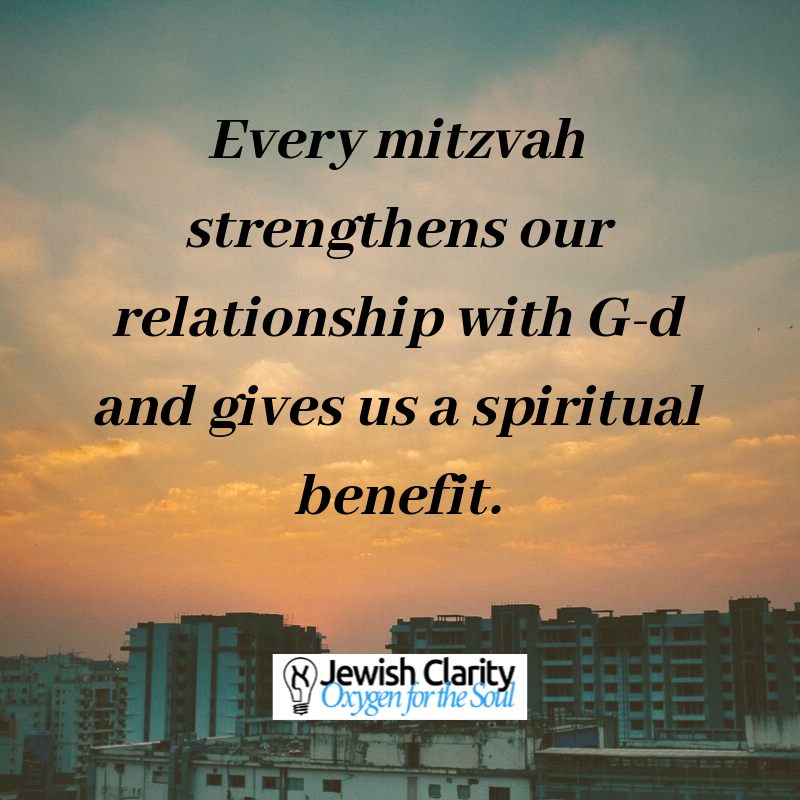 ClarityJewish's tweet image. Hello everyone! We'd like to wish you a 🌞 day filled with productivity, 😄 joy, and accomplishment! ✡ #faith #judaism #truth #emet #emunah #torah