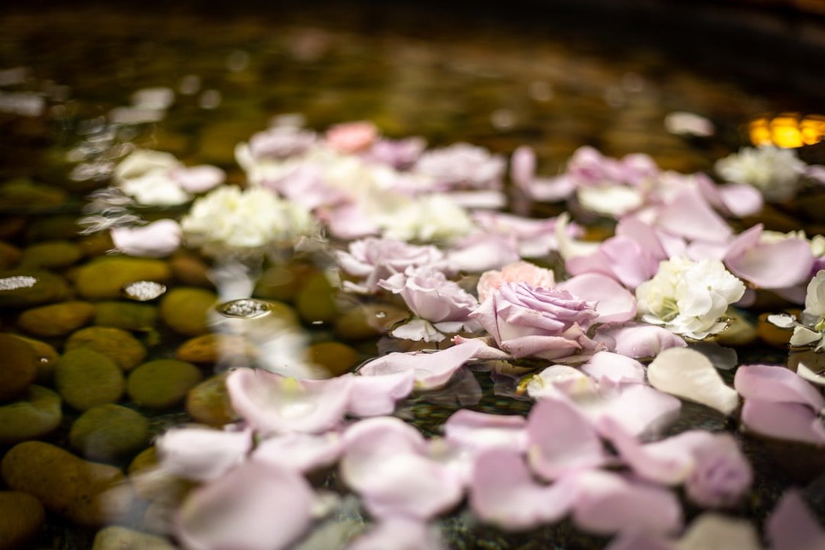 There are so many ways a life can be honored, it is for you to decide how NOT the funeral director