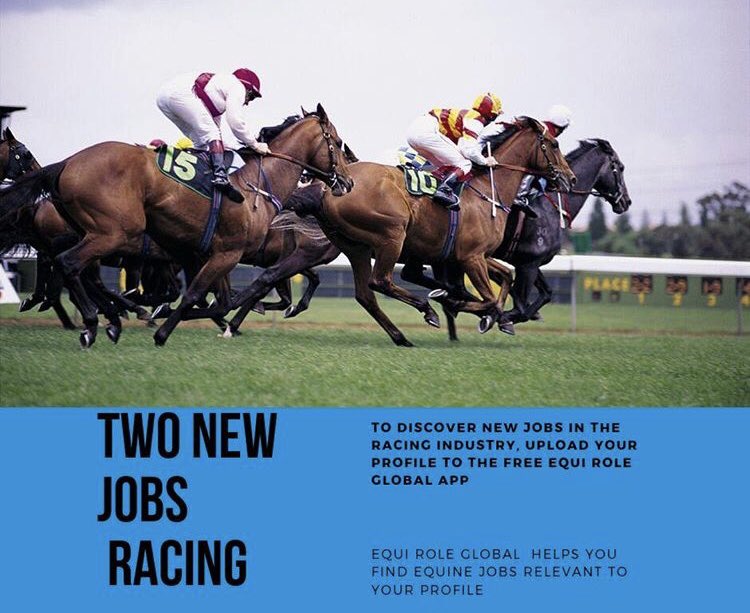 Are you interested in working in the Racing industry?  Check out the latest job roles in Australia and the United Kingdom by placing your profile on the free Equi Role Global App. Available on Android and iOS #horseracing #jockeys #flatracing #lad #horses #thoroughbreds #gallop