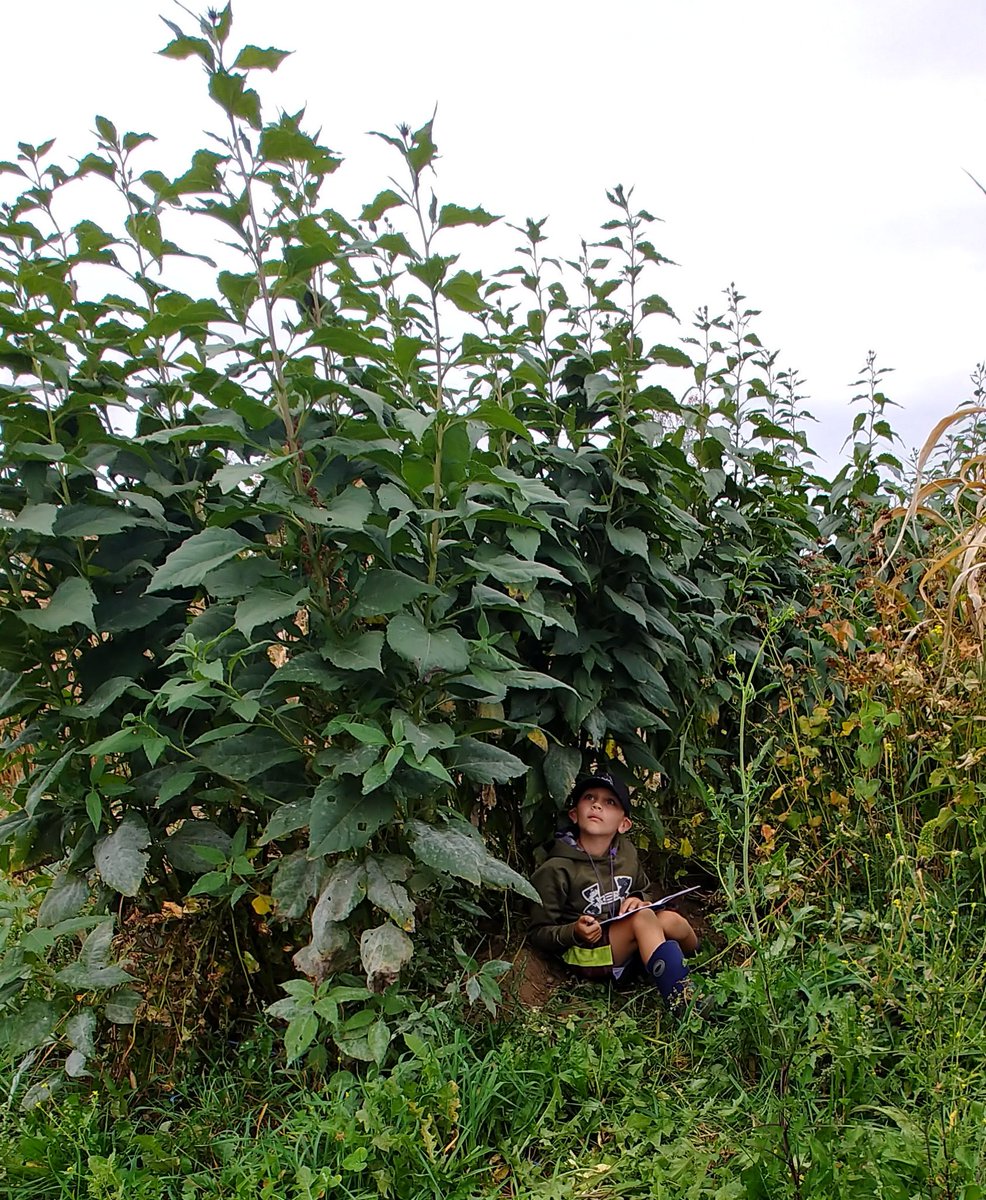 vtbarngirl's tweet image. Twitter Challenge Day 20! #FWSU @FletcherFalcon Creative and innovative student work exists in Nature. #placebasedlearning #flexiblelearningenvironments @vtmimm