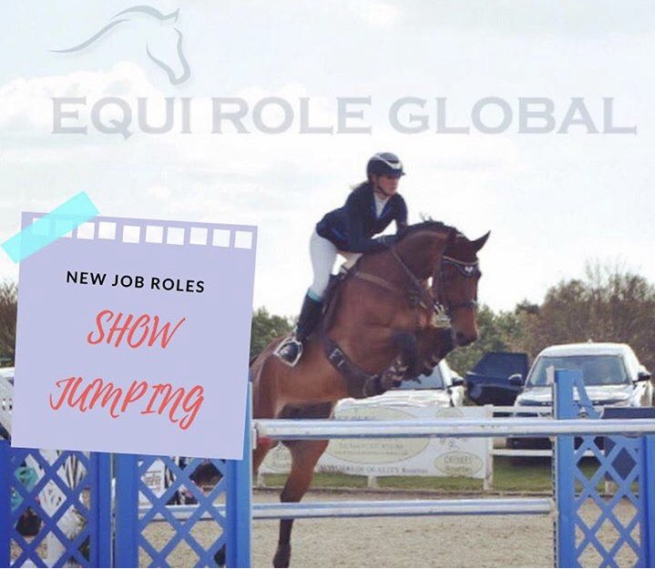 WOW! We have some absolutely amazing SHOW JUMPING jobs. *Switzerland - GROOM *Paris - GROOM/RIDER *Australia (3 jobs) - GROOMS/RIDER *Italy-GROOM *GERMANY (6 jobs) GROOMS/RIDERS *Poland - GroomEquiRoleGlobal the equestrian recruitment app equiroleglobal.com   #workwithhorses