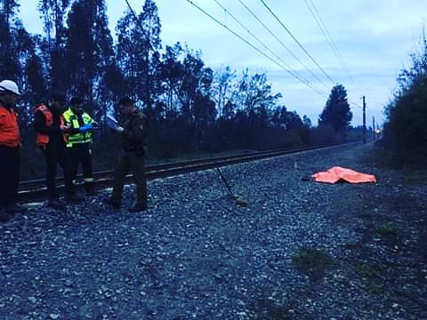 ChimbarongoNot1's tweet photo. Trágica muerte de un hombre de 52 años fuera atropellado por el tren de carga la noche de este pasado lunes en la localidad de Tiguiririca en la comuna de Chimbarongo.

Según los primeros antecedentes, la víctima de 52 años se trasladaba en una bicicleta rumbo a su domicilio. https://t.co/XAoYcU5SWB