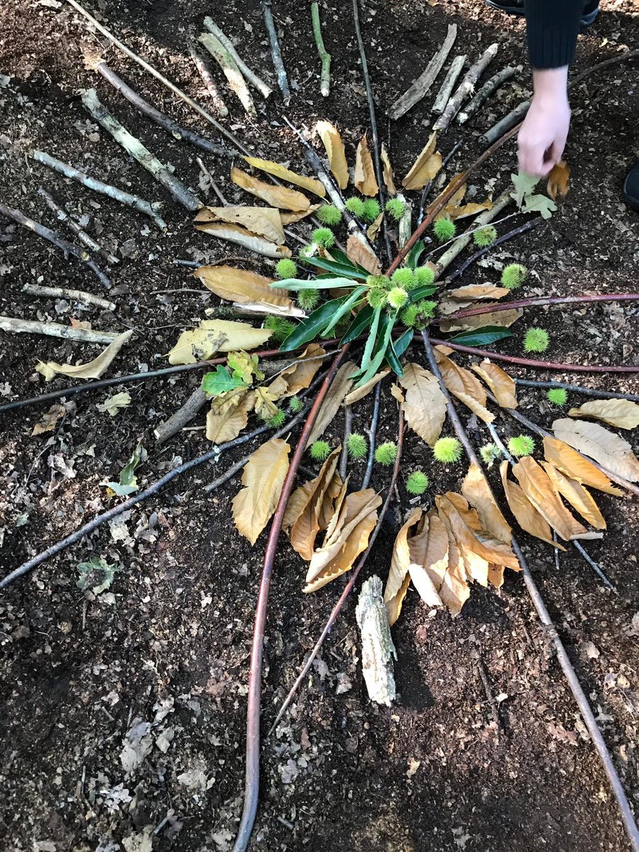 beaudesertcare's tweet photo. We had a lovely day out at Milford Common making Nature Mandalas &amp; Ojos De Dios. https://t.co/0bl4rzQgmR