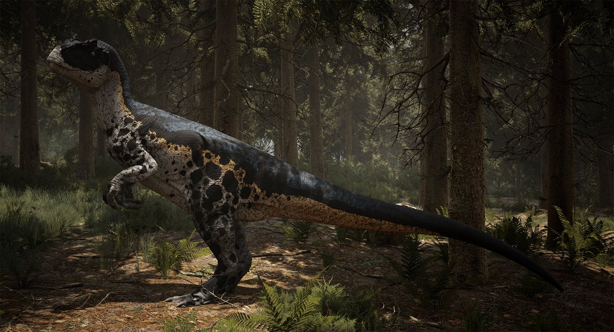 CJKnightmare95's tweet photo. An exclusive Bugtracker Allosaurus skin will be rewarded to anyone who reports a unique bug on our bugtracker. Check out our bugtracker github here and help out with development!
https://t.co/xUNP0XtQjP
#pathoftitans #madewithunreal #allosaurus #dinosaurs #indiegamedev #bugtest https://t.co/GMaE7dw2a3