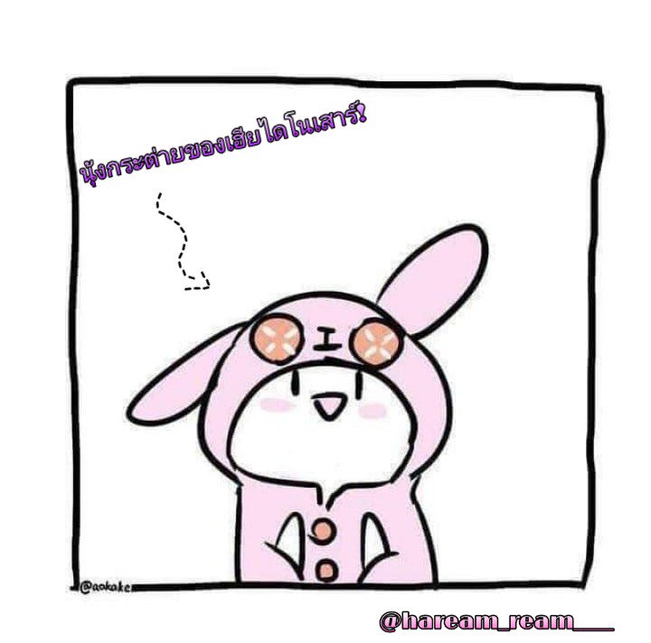 🐰H_a_r_3_a_m🐰 tweet media