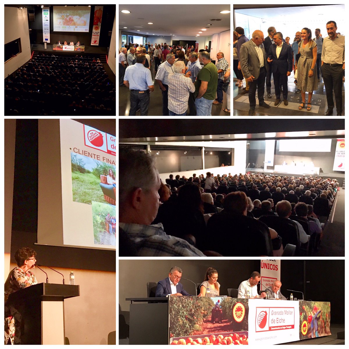 Todos unidos somos más fuertes para afrontar los desafíos del sector.
Tenemos la mejor granada del mundo y las manos más sabias para cultivarlas.
👉 Espectacular acogida a la jornada #elvalordeserúnicos de la #GranadamollarElche