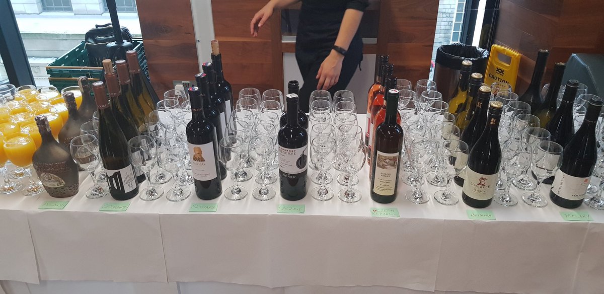 TCDTIDI's tweet photo. No better way to end a fantastic multinational event than with a regional wine sampling reception! '30 Years On Conference' hosted by @TCDTIDI in collaboration with Embassies of Czech Republic, Georgia, Germany, Hungary, Kazakhstan, Latvia, Poland, Romania, Slovakia &amp; Ukraine. https://t.co/m0ut8cKWId