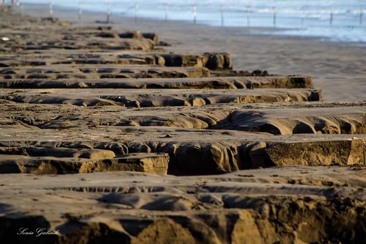 Doble_0C's tweet photo. #MNTEP_CLIMA Lorena erosionó playas de Nayarit. Las marejadas lavaron la playa haciéndola perder hasta 60 cm de arena en Tecuala.
@MeganoticiasTEP
#PlayaNovillero
#TormentaLorena
FOTOS: Sonia Galindo y Ricardo Benítez, Mario Ortíz
https://t.co/wTHGajJLIe https://t.co/8mOUXKJ2CX