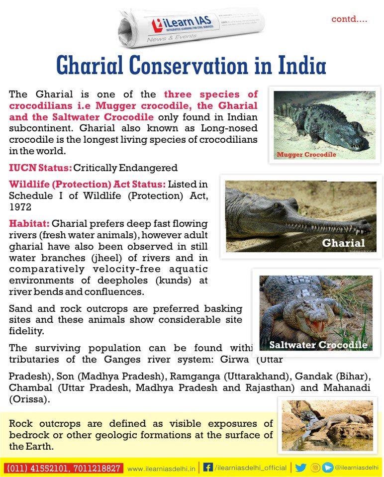 ilearniasdelhi's tweet photo. iLearnIAS - Latest News on "Gharial Conservation in India"
#iLearnIASLatestNewsSeries - 1/2
#Gharial #GharialConservation #Conservation #India
#Latestevent #Currentnews #Latestnews #news #CurrentnewsIndia #iasacademyDelhi #iascoaching #IAS2019 #ias #iasclass #ilearnias #Delhi https://t.co/fzp8udUXR3