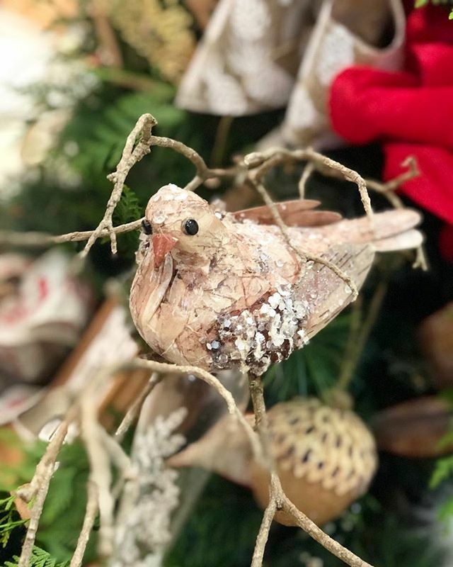 ColorEventRD's tweet photo. ¡Falta poco para la temporada que tanto nos gusta! ❤️ •••
Reserva tu fecha 👇🏼🎄 https://t.co/fA4VvugJRf https://t.co/f3L0sy4iA5
