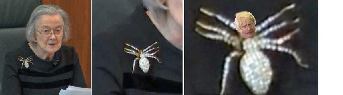 iamalarsen's tweet photo. Boris the Spider? https://t.co/VkepResHed