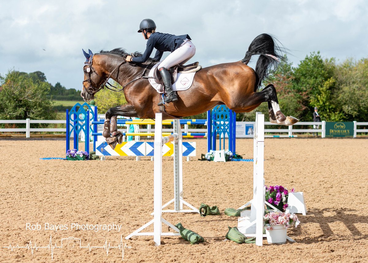_k8_e_'s tweet photo. Feeling very lucky to add the beautiful stallion “Chance” to our team, here he is on his way to a lovely 1.30m double clear after only a couple of shows together 😍💞🔝 https://t.co/UVOVhLptf9